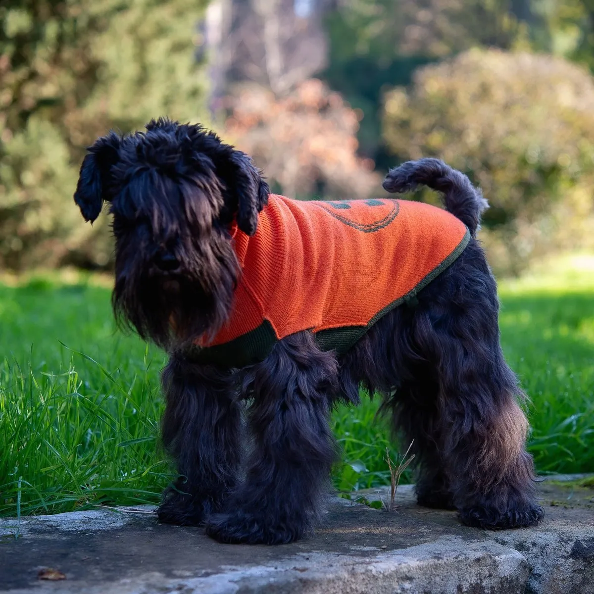 Bespoke Dog Sweater Green/Orange Cashmere