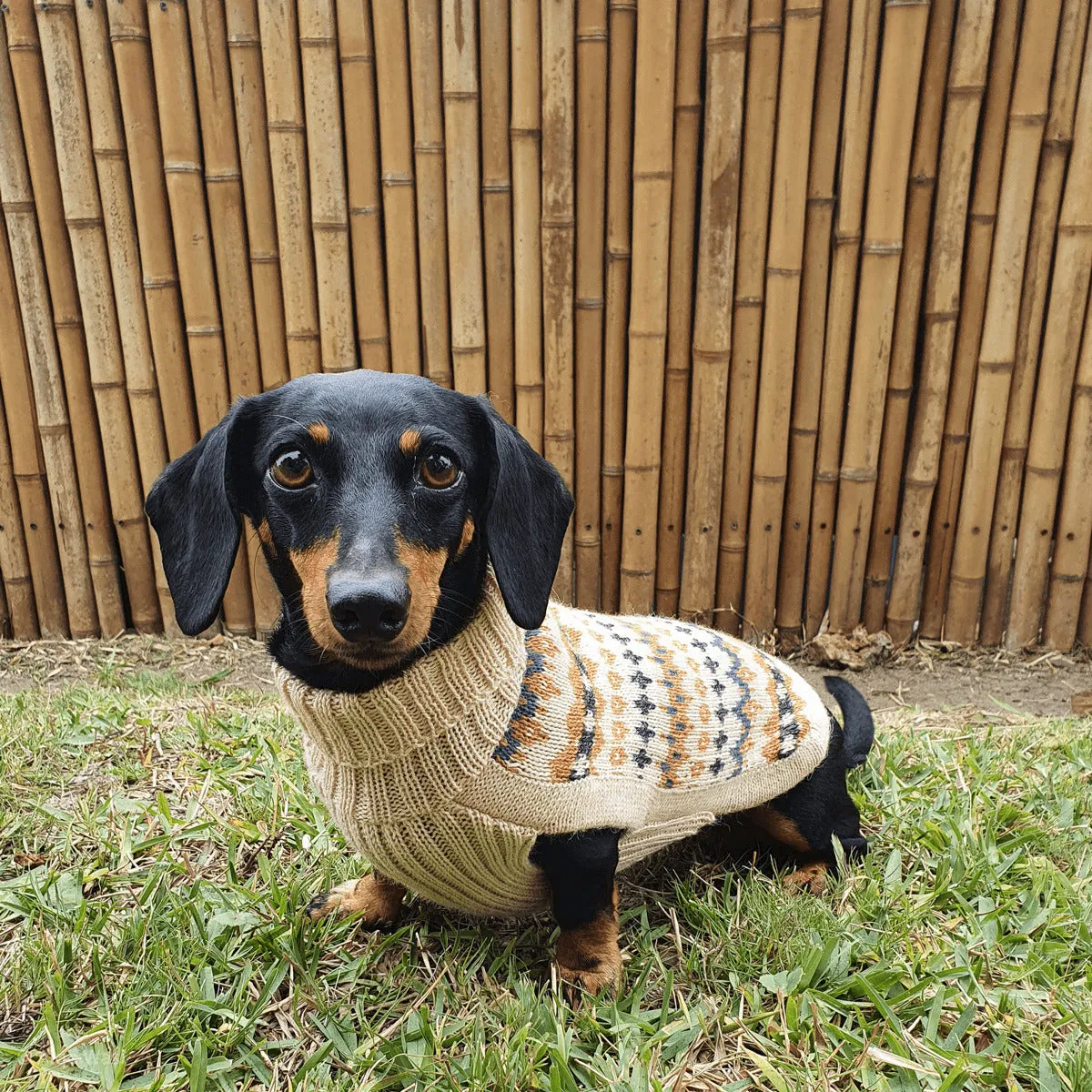 Dog Sweater - Golden Dreams Dog Sweater