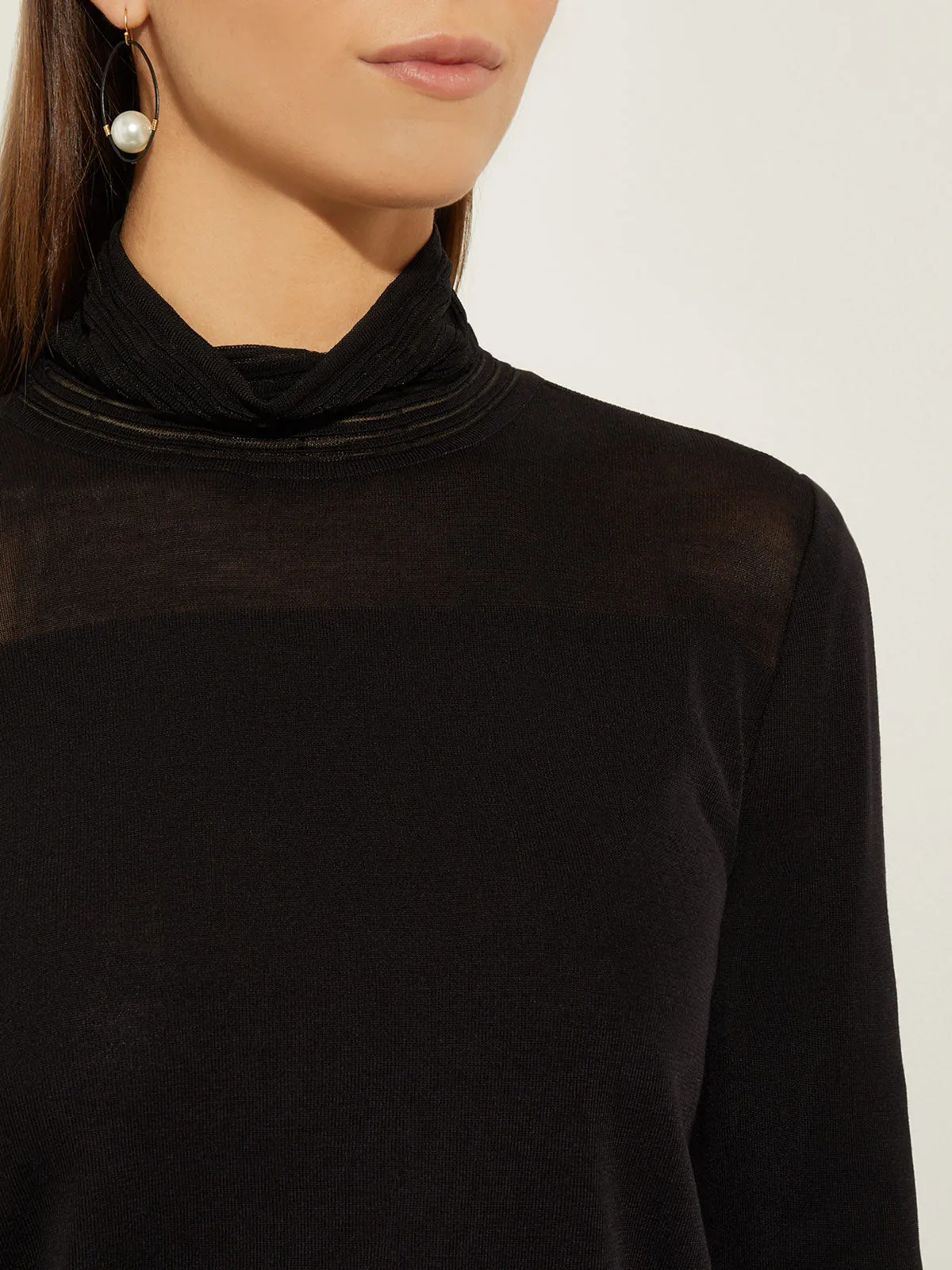 Sheer Inset Turtleneck